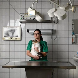Ana Kikl, Veterinarska klinika MZ Vet Pesnica pri Mariboru, veterinarski tehnik
