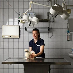 Carolin Trojner, Veterinarska klinika MZ Vet Pesnica pri Mariboru, doktor veterinarske medicine